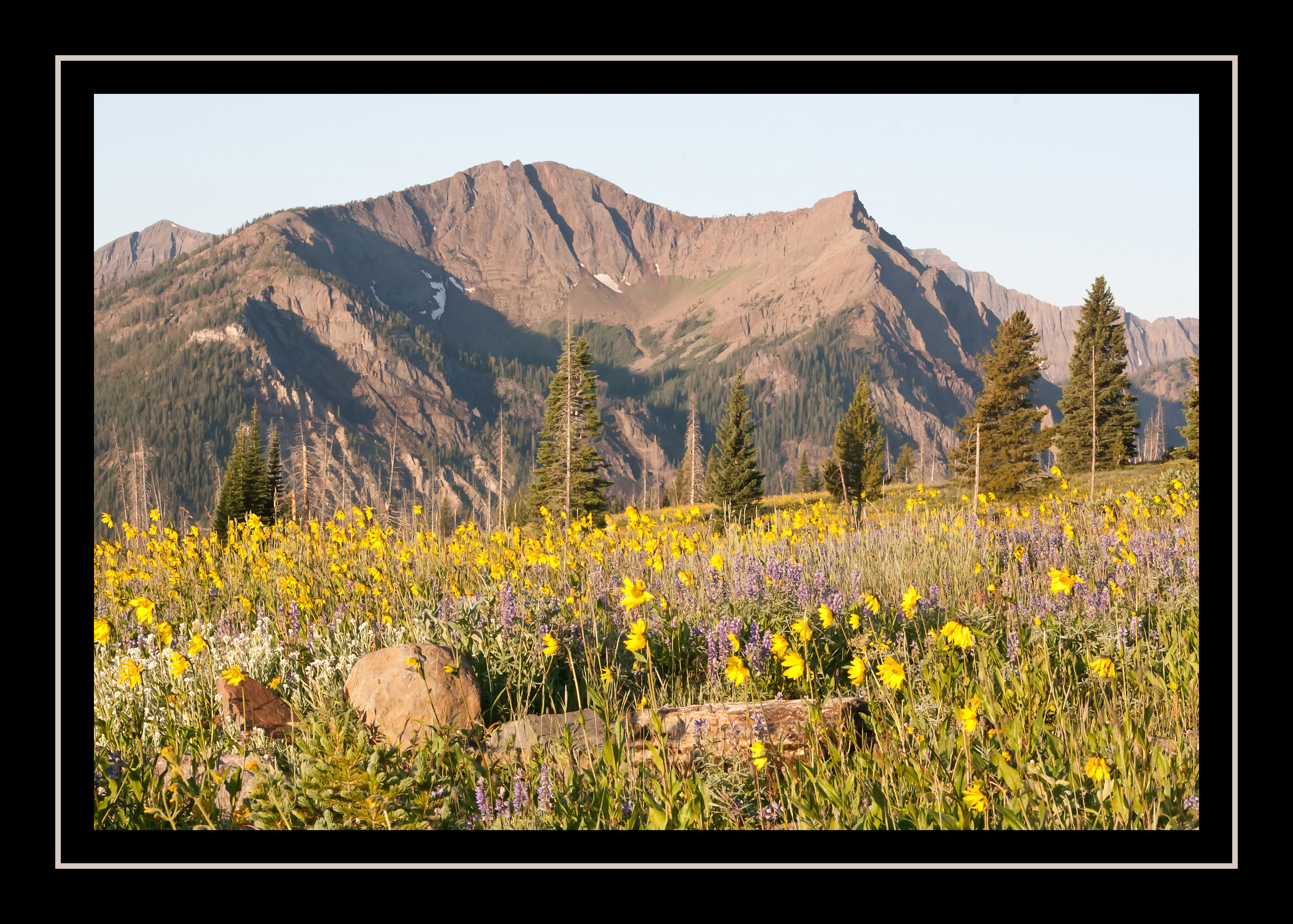 Early morning on Lulu Pass Road