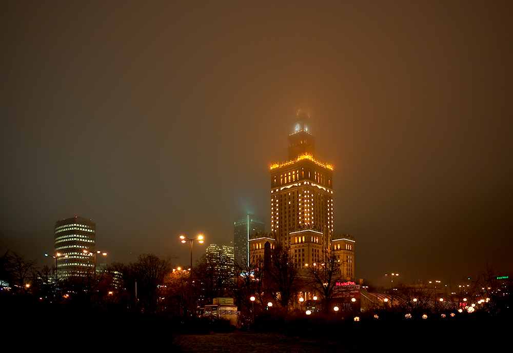 Foggy Lights Of The City