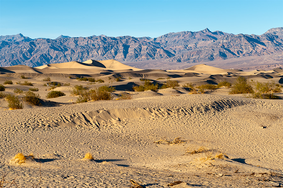 Mesquite Flat Dunes