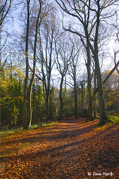 Cotswold Way