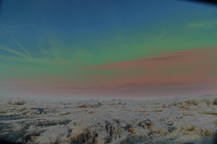  Solarisation and white frost