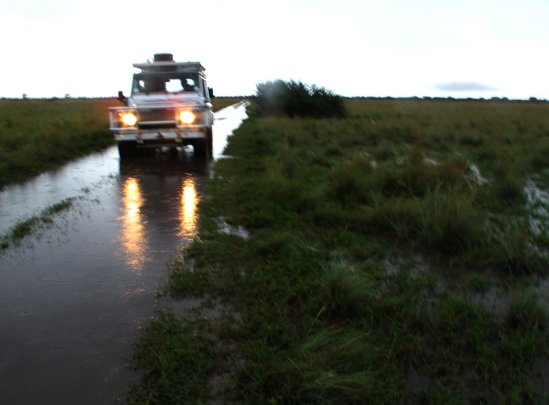 IMG_2445 wet.jpg