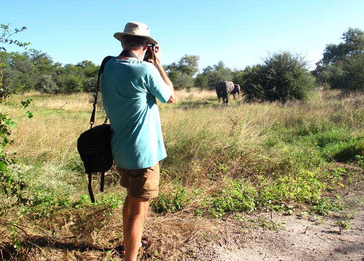 elephant encounter 