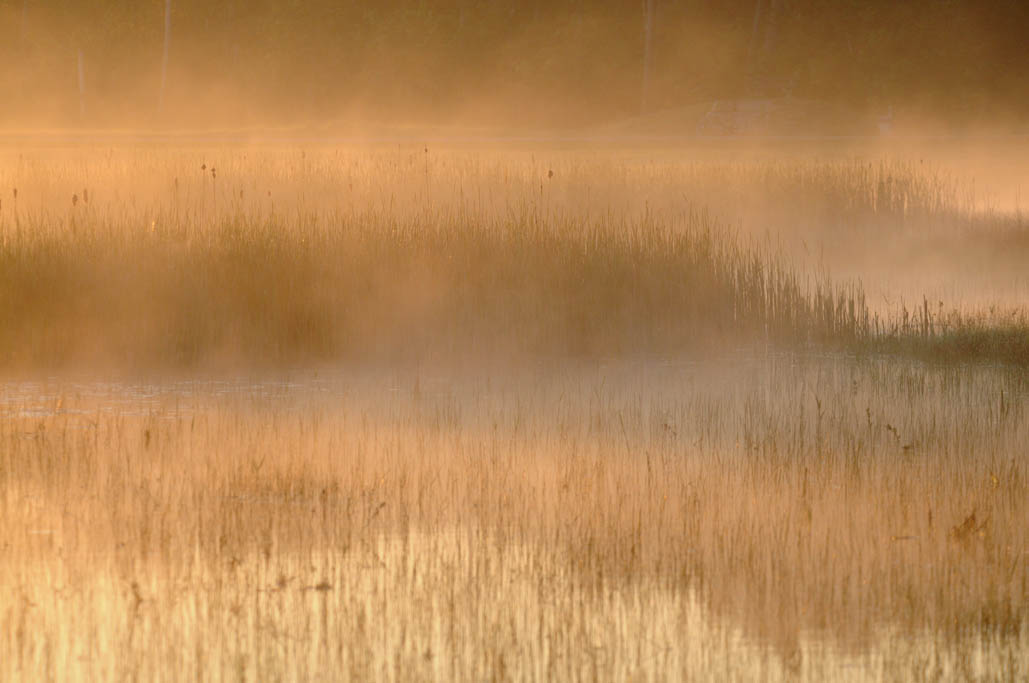  misty morning