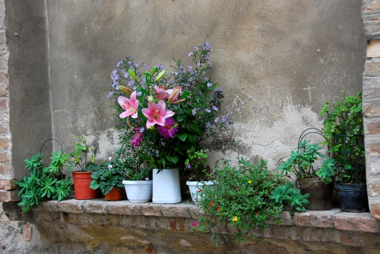 San Gimignano 10032008 061.jpg