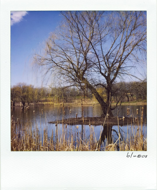 Willow Tree Island