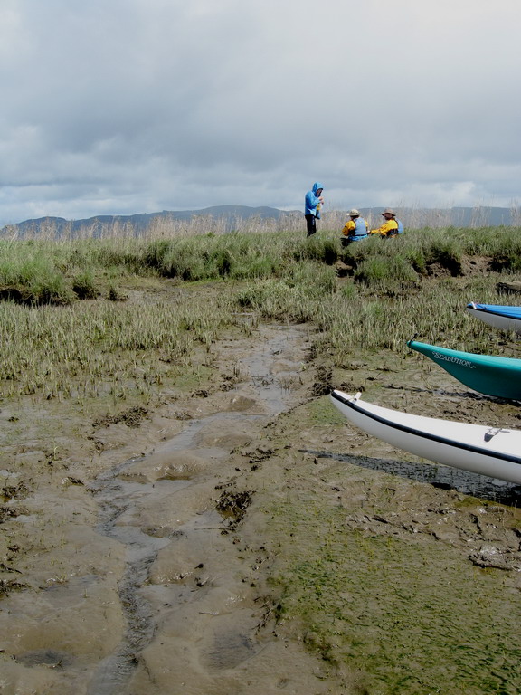 Its all mud out there; this rivulet drains a many-acre intertidal land mass.