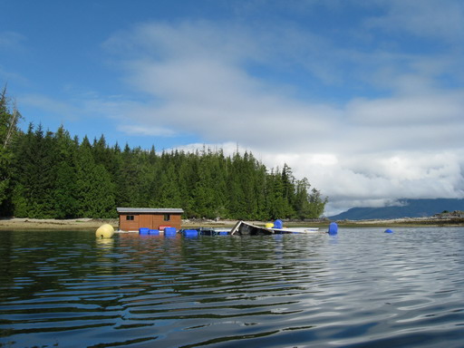 IMG_0743WEB.jpg