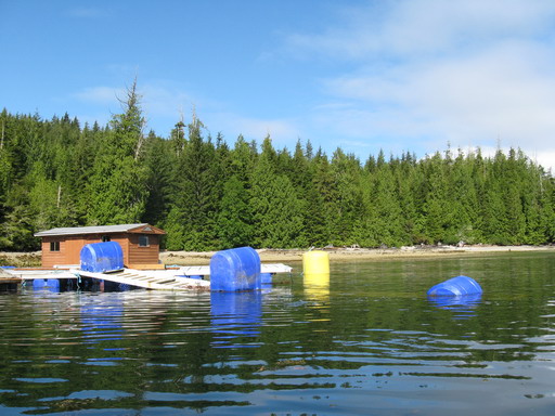 IMG_0745WEB.jpg