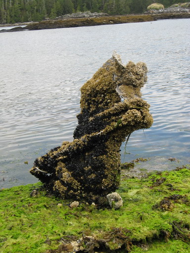 IMG_0752WEB.jpg