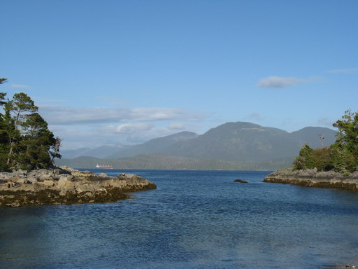 IMG_0771WEB.jpg