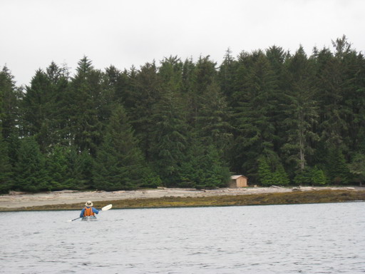 IMG_0781WEB.jpg