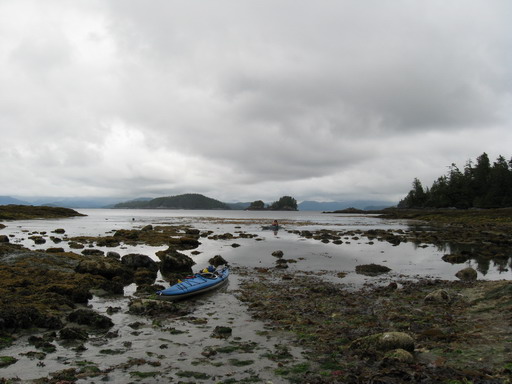 IMG_0784WEB.jpg