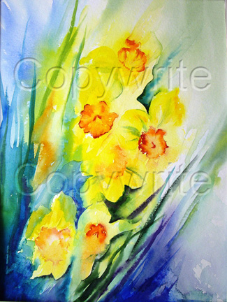 Spring Daffodils