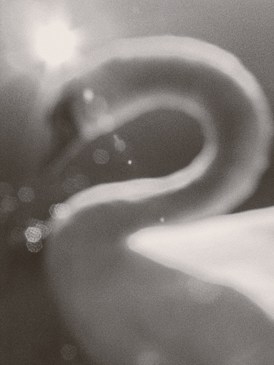 Dreamy Focus
