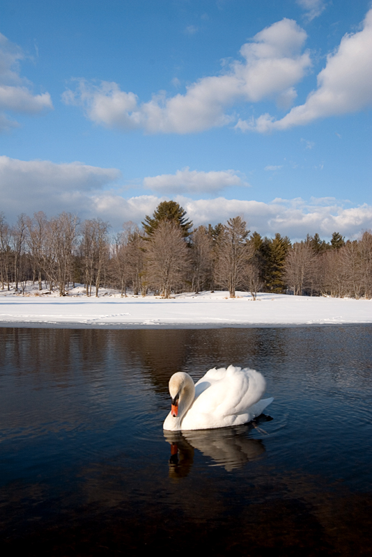 Beautiful Winter 