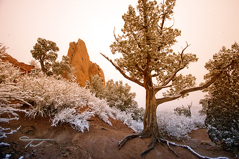 Colorado Landscape 