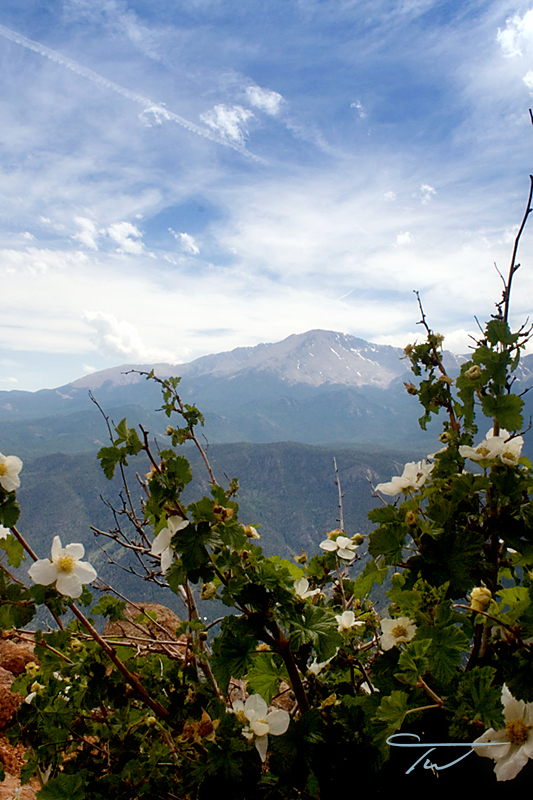 Pikes Peak 