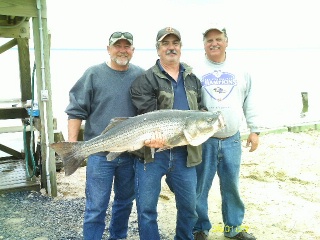 left to right:   George Hicks, Charlie Woolford, and Shelby Shipley with a 45, 35# fish caught on the Five C's