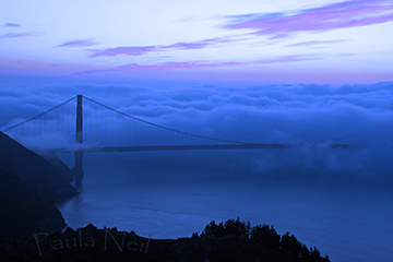 Fog over bridge
