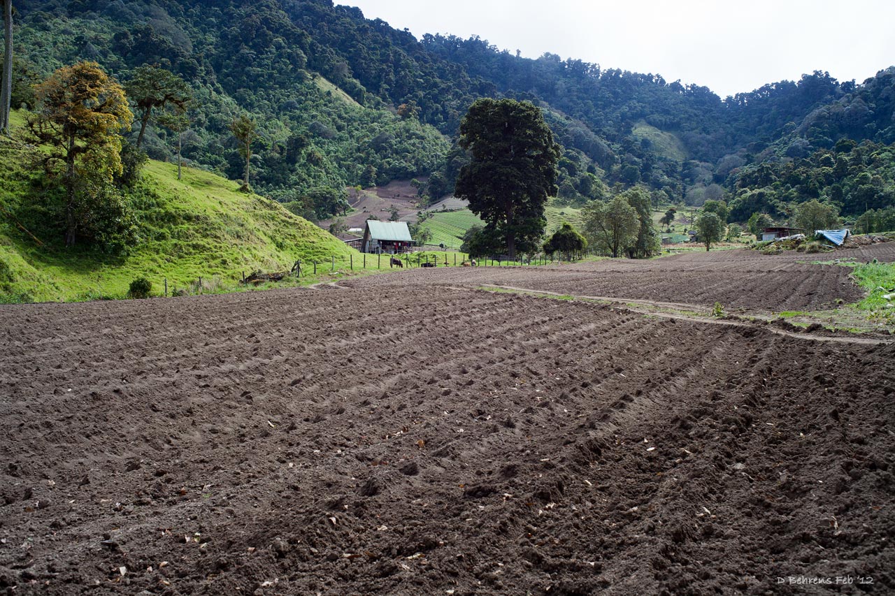 Farm near Parque Nacional Volcan Baru