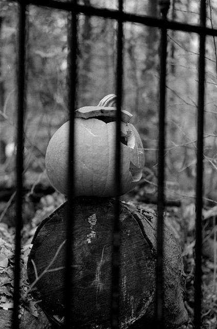 Pumpkin
