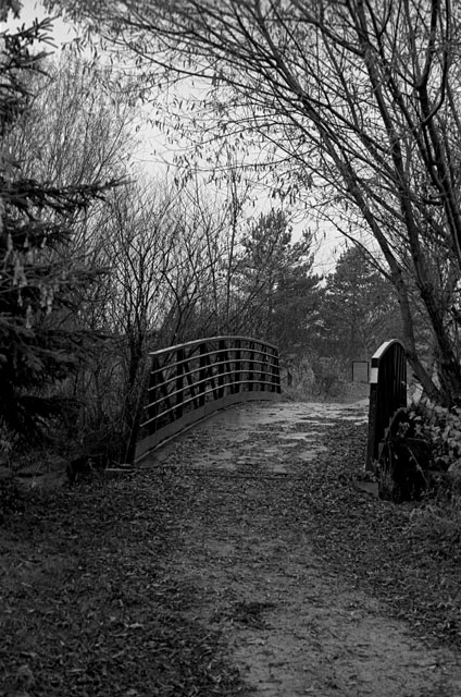 Bridge in the mist