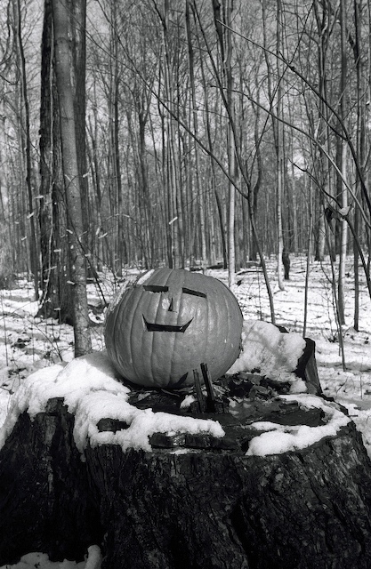 Smiling Pumpkin