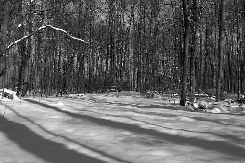 New Snow