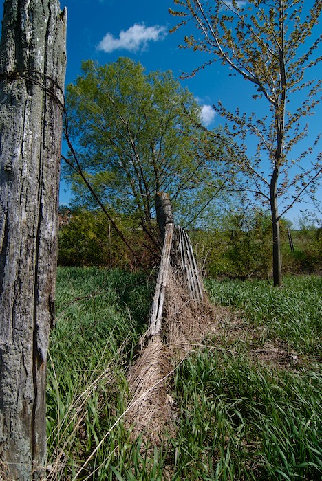 Fence #1