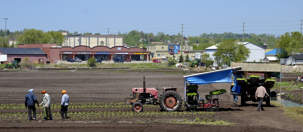 Planting Time