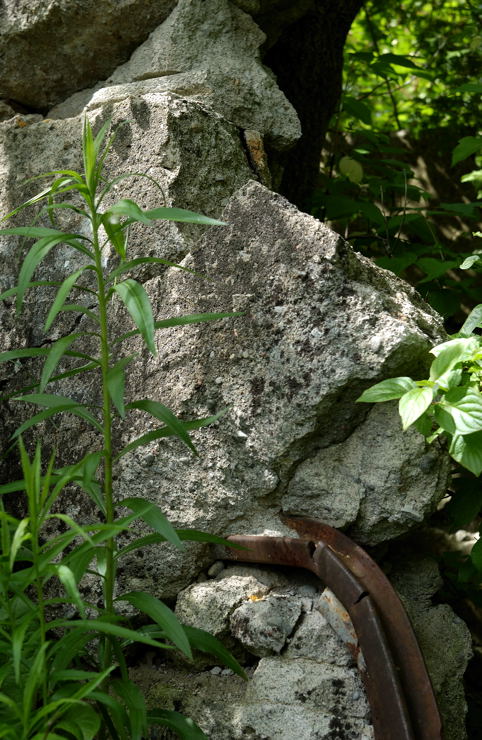Mill Wall