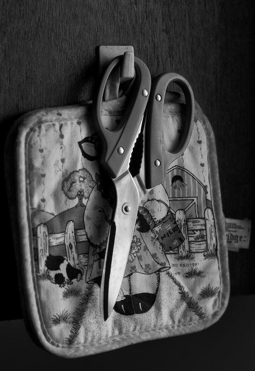 Kitchen Shears