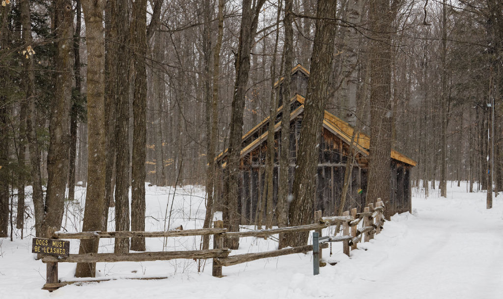 Sugar Shack
