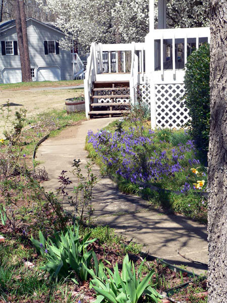 front walkway.jpg