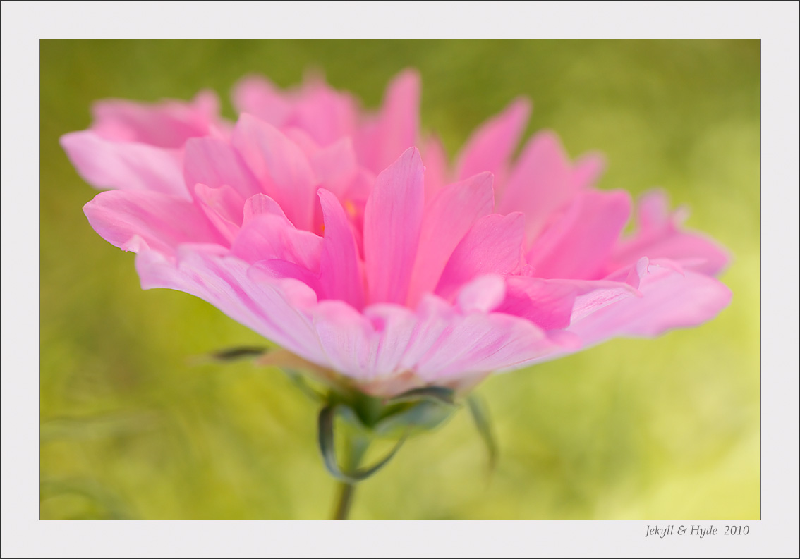 Impressionism @ f/4