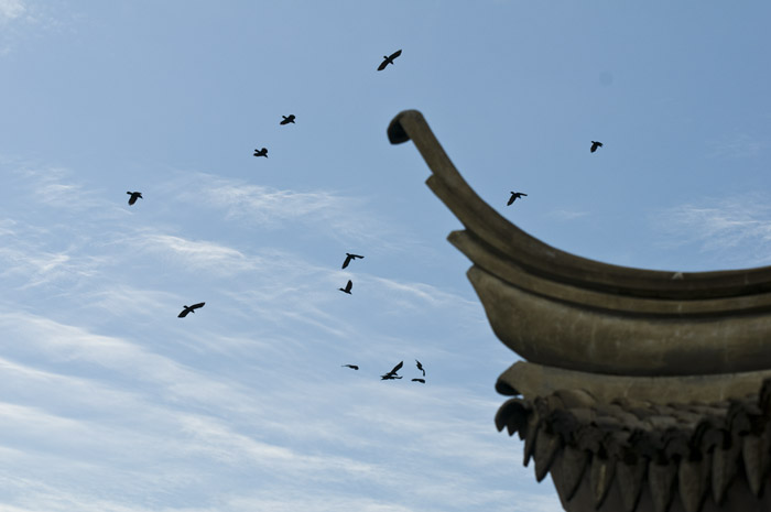Hong Kong 香港 - Kowloon Fortress Park