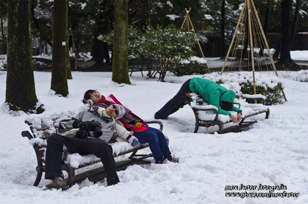 Kanazawa 金沢 - Central Park 中央公園