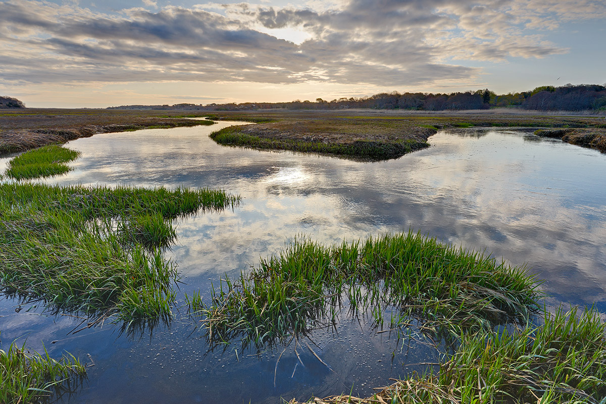 April : Quivett Creek at high tide