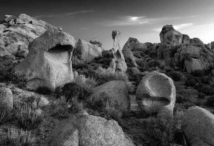 Devils Playground