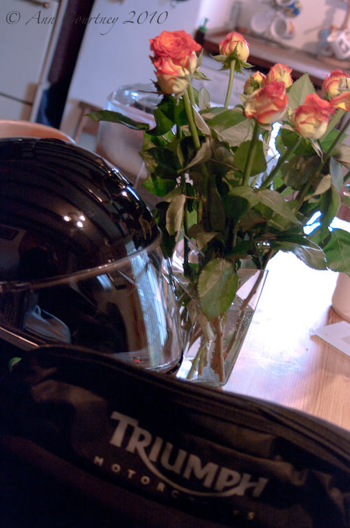 The kitchen table....