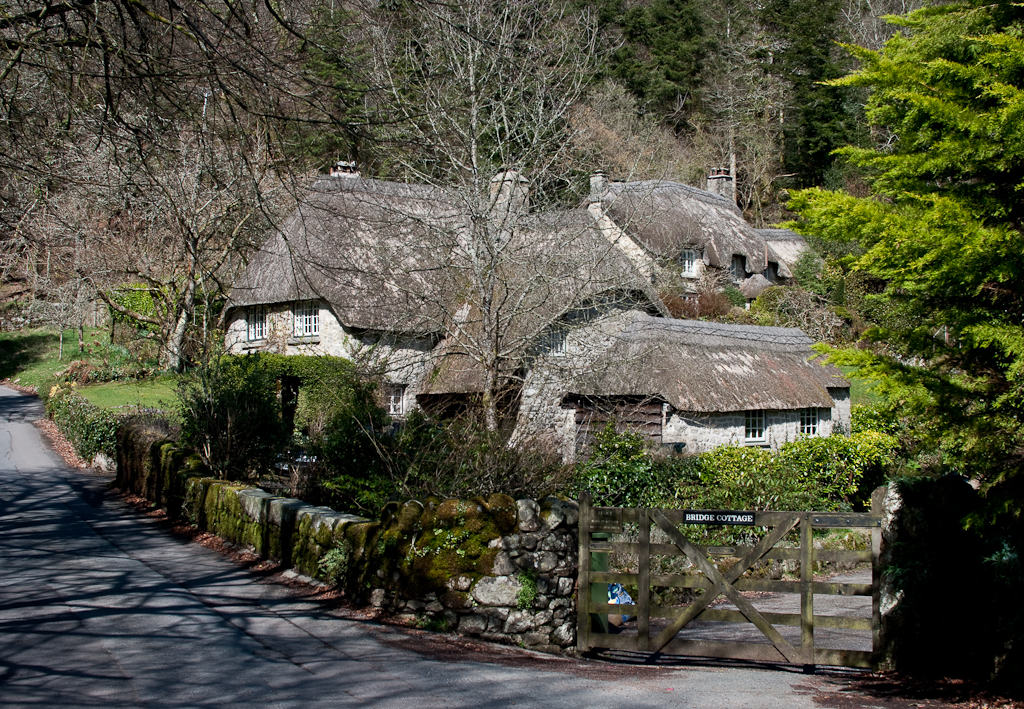 Typically Dartmoor