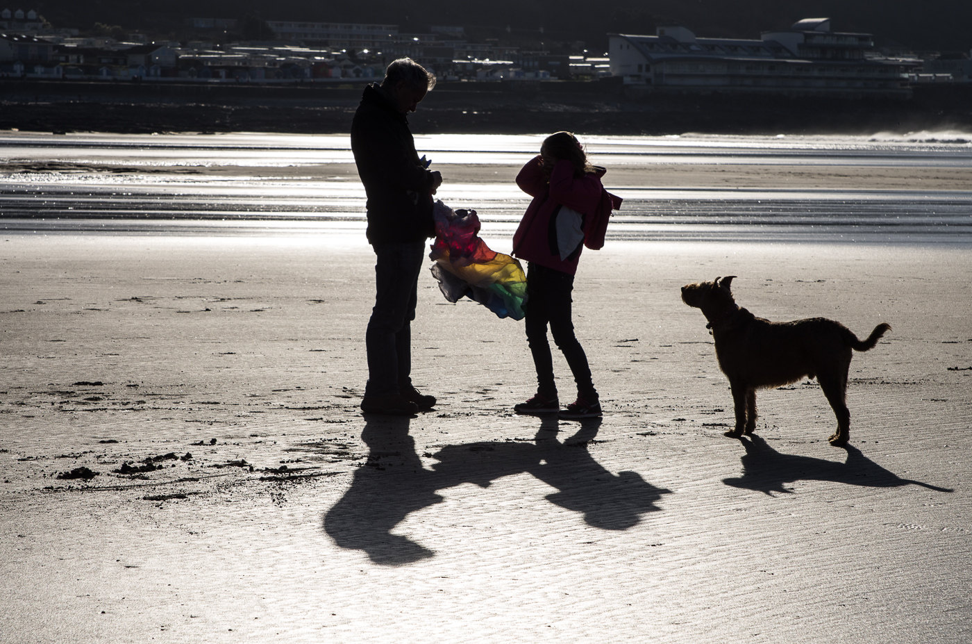 Lets go fly a kite