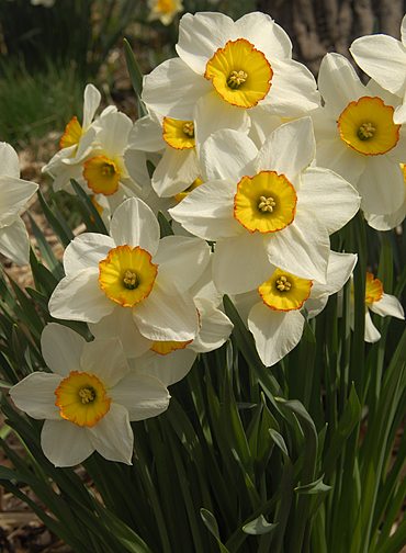 Grouping_4895.jpg