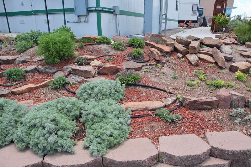 Artemisia Garden Right (9332)