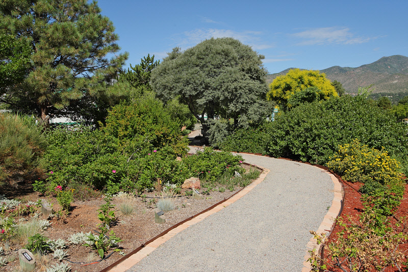 Gravel Pathway at FF65 (7669)