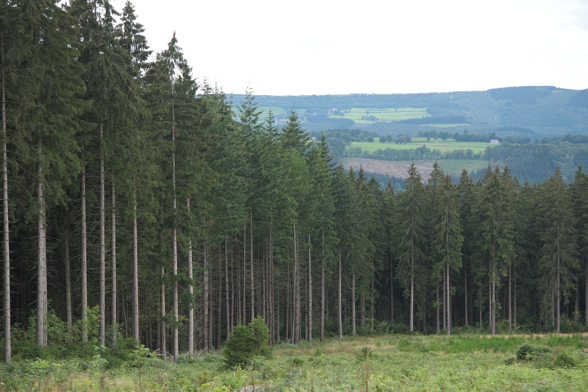 Ardennen
