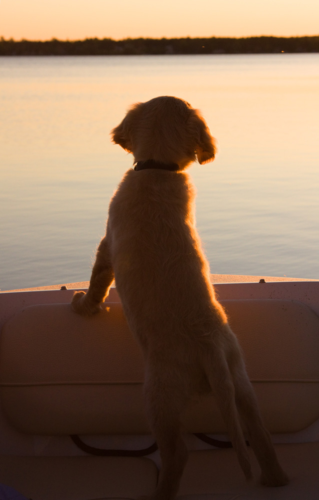 Sunset/First Boat Ride