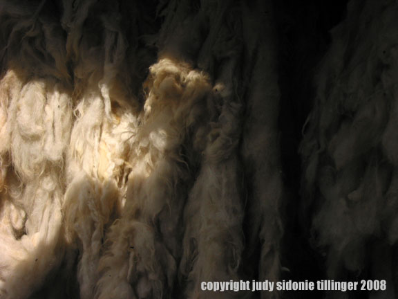 wool