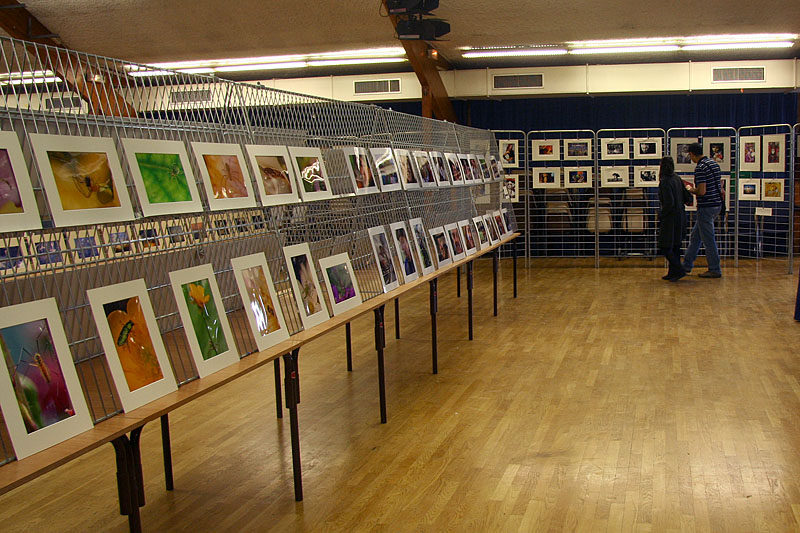 Vive la semaine de la Photo 2008 !
